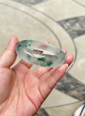 高冰冰透独龙玉飘花手镯高品质翡翠色女款玉石手镯子冰种玉镯女款