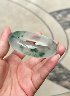 高冰冰透独龙玉飘花手镯高品质翡翠色女款玉石手镯子冰种扁条玉镯