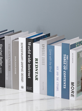 现代风格黑白灰跳色电视柜仿真书