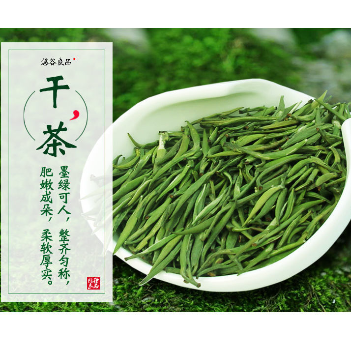 雀舌茶叶绿茶2024明前新茶春茶毛尖翠芽50克*2罐装湄潭浓香型雀舌 - 图2