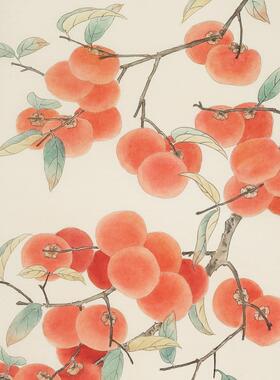 画家小院柿子挂画国画