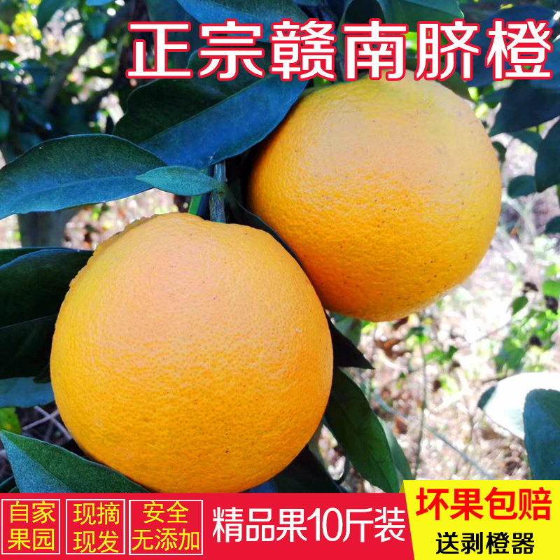 新鲜水果现摘正宗赣南脐橙子安远信丰寻乌榨汁甜橙子10斤20斤包邮,淘宝优惠券,粉丝福利购,淘宝优惠卷