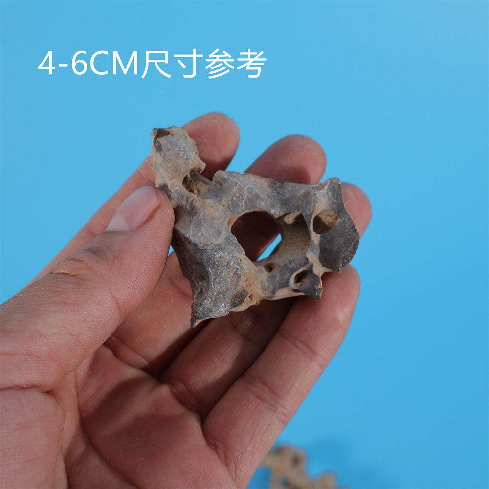 太湖石天然石鱼缸微盆景造景石景观北丹石原矮霸小盆微景OAF小石,淘宝优惠券,粉丝福利购,淘宝优惠卷