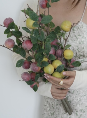 仿真水果李子桌面摆件花瓶装饰紫色黄色组合5支一组