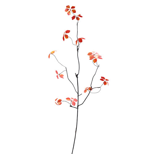 特大山归来铁线莲观音莲仿真花假花绢花客厅玄关插花摄影道具 - 图3