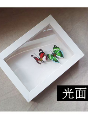立体相框中空3cm衍纸diy粘土标本