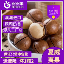 Hawaii Fruit 1 catty Cream Taste Great Fruits New Goods Health Import Casual Snacks Fresh Nuts High Comeback Purchase