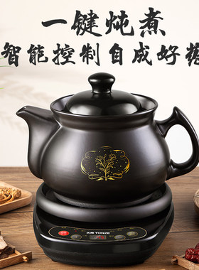 天际3L分体煎药壶全自动家用电壶