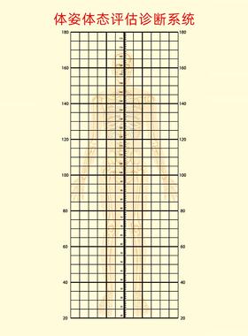 体资体态评估诊断测量系统挂画 健身房舞蹈室挂图海报墙贴画墙画