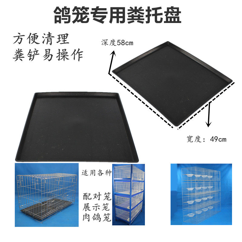 拖粪盘肉鸽笼宠物鸟笼专用粪托盘清理粪板托盘塑料托盘粪板,淘宝优惠券,粉丝福利购,淘宝优惠卷