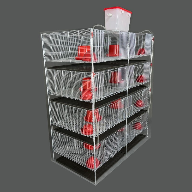 新品鹌鹑鹧鸪鹦鹉芦丁鸡育雏笼热镀锌高防锈豚鼠养殖笼保温网箱笼,淘宝优惠券,粉丝福利购,淘宝优惠卷