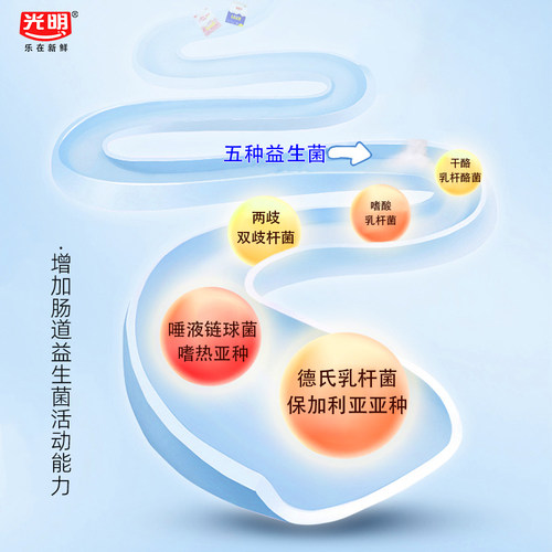 光明酸奶官方授权look噜渴458ml盒装原味饮品酸牛奶酒店正品冷藏 - 图3