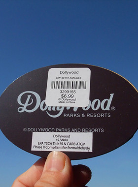 美国当地购买冰箱贴 皮格佛格多莉山主题公园 DOLLYWOOD