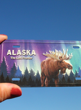 美国当地购买冰箱贴 阿拉斯加 ALASKA 多款 黑熊