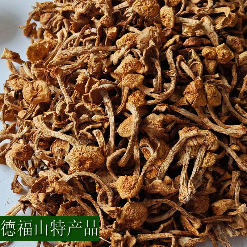 东北特产滑子菇干货500克包邮小黄蘑滑菇香菇可小鸡炖蘑菇滑子蘑 - 图2