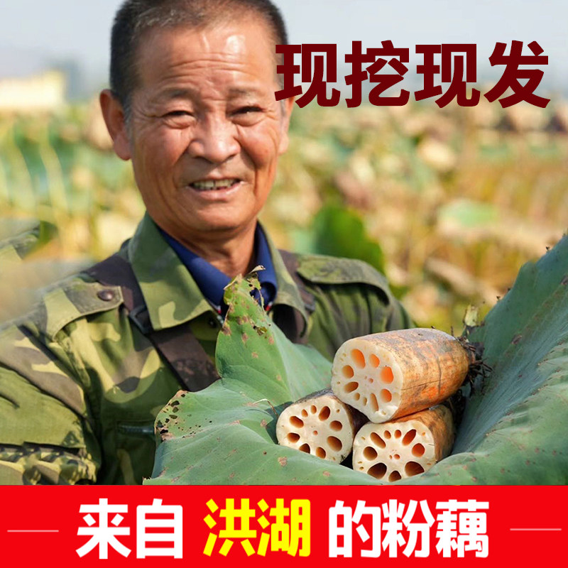 洪湖精品中断粉藕特产莲藕新鲜煲汤炖汤正宗九孔湖北红现挖旗舰店,淘宝优惠券,粉丝福利购,淘宝优惠卷