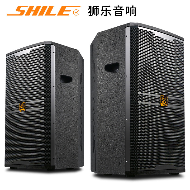 狮乐bm-12十二寸专业舞台演出音箱 狮乐KTV/卡拉OK音箱