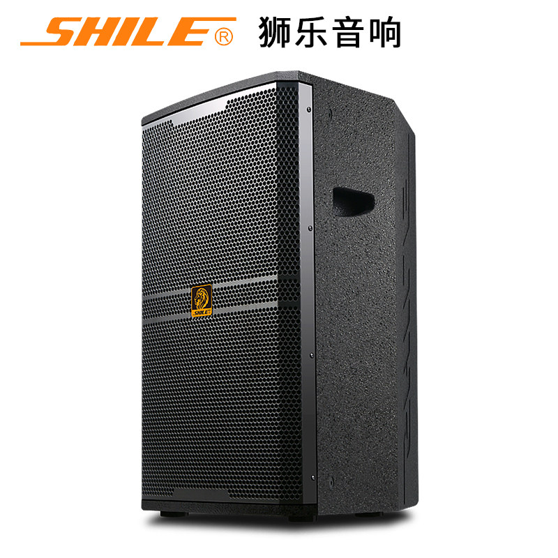 狮乐bm-12十二寸专业舞台演出音箱 狮乐KTV/卡拉OK音箱