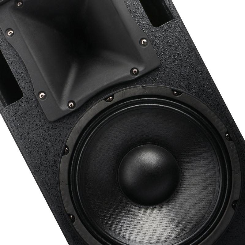 狮乐bm-10十寸专业舞台演出音箱 狮乐KTV/卡拉OK音箱