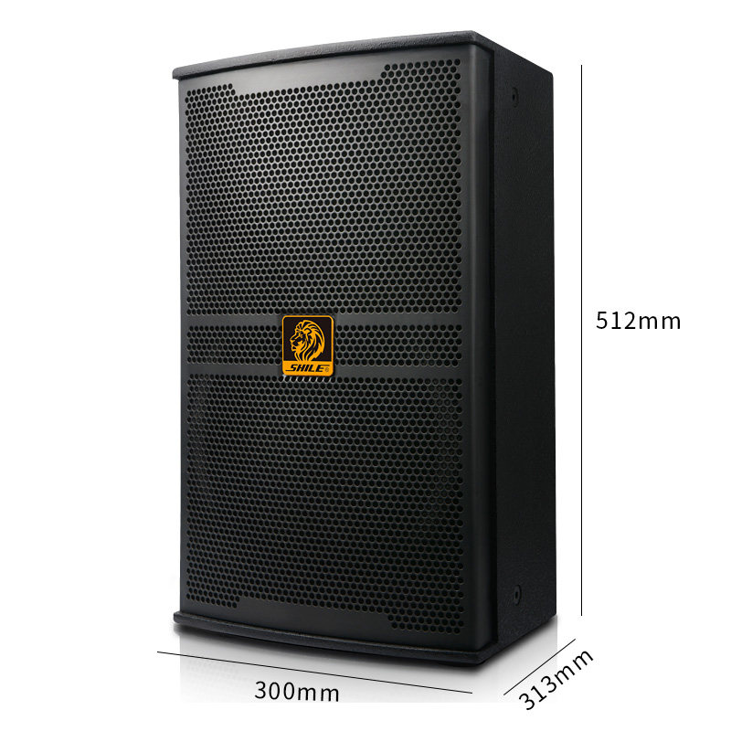 狮乐bm-10十寸专业舞台演出音箱 狮乐KTV/卡拉OK音箱
