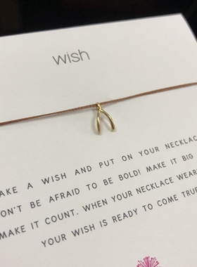 丝线款 银镀金【许愿骨】吊坠 如愿骨许愿项链 美国Dogeared正品