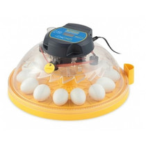 UK Small Flying Saucer Series Parrot Incubator Mini saucer for one-year aftersale Warranty Incubation Parameters Guidance
