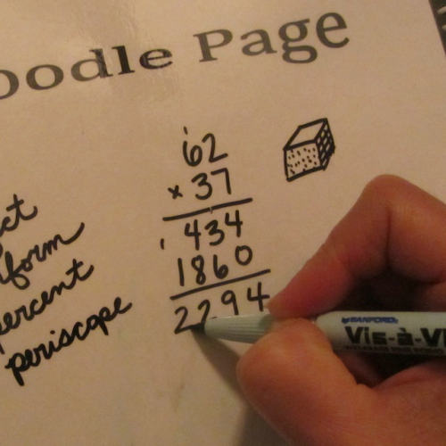 Expo Vis-a-Vis Wet Erase Markers 16000 水溶笔 水擦胶片笔 - 图0