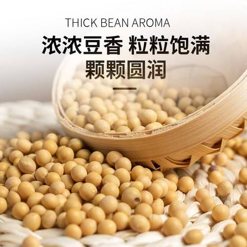 燃搭档奇亚籽豆浆粉早餐代餐高蛋白营养0添加蔗糖健身无香精正品 - 图0