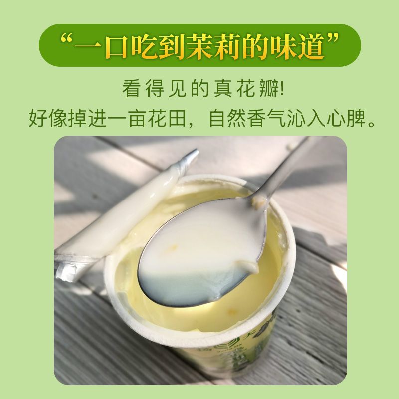 网红扬大茉莉花酸奶樱花蓝莓青柠草莓凤梨乳业小苹果9种口味冷藏 - 图1