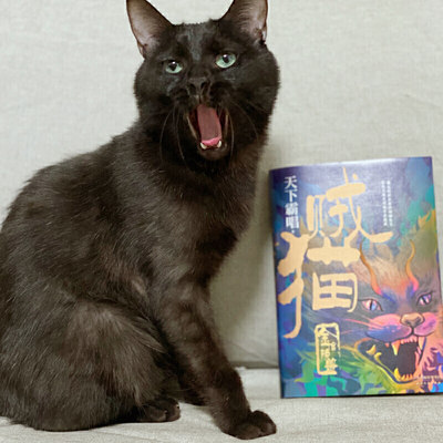 包邮正版贼猫：金棺陵兽（精装）（u201c鬼吹灯u201d系列【前传】天下霸唱作品 