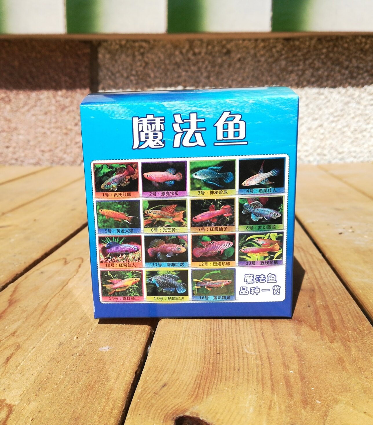 包邮 正品魔法鳉鱼 奇妙鱼 太空鱼卵 土里长出鱼