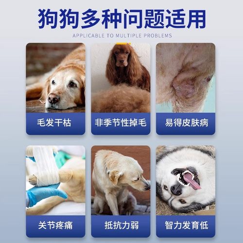 MAG狗狗鱼油胶囊0.5g×200粒金毛博美美毛护肤金毛 - 图3