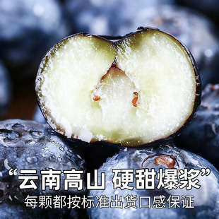 云南高山蓝莓鲜果新鲜水果18-22nm*4盒