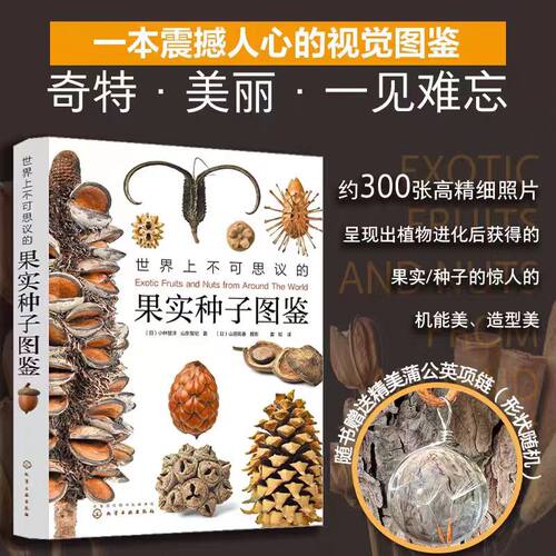 世界上不可思议的果实种子图鉴 300张高精细果实图片 正版书籍 - 图0