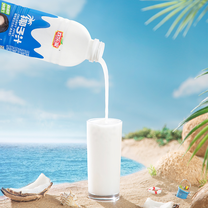 欢乐家椰子汁植物蛋白饮料1kg*6瓶椰汁椰奶-图2