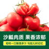 绿行者精品粉番茄2250g