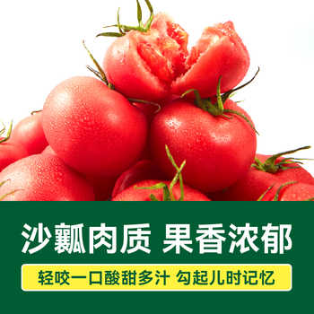 绿行者沙瓤粉番茄水果西红柿农家老味道果香浓郁实付15.2元到手包邮
