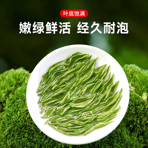 乐品乐茶明前特级浓香型日照高山云雾绿茶毛尖茶叶250g-图1