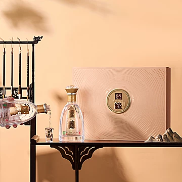 今世缘国缘对开42度白酒礼盒500ml*2浓香型商务宴请[10元优惠券]-寻折猪