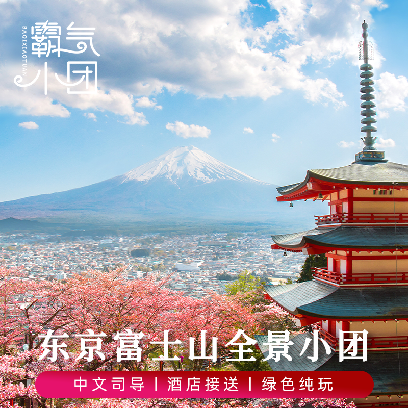 【9人小团】日本东京富士山一日游河口湖五合目天梯小镇旅游 - 图3