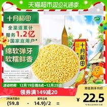 October Inada rhubarb rice 1kg Northeast rhubarb rice glutinous rice sticky yellow rice glutinous millet 5 cereals Cereals Cereals