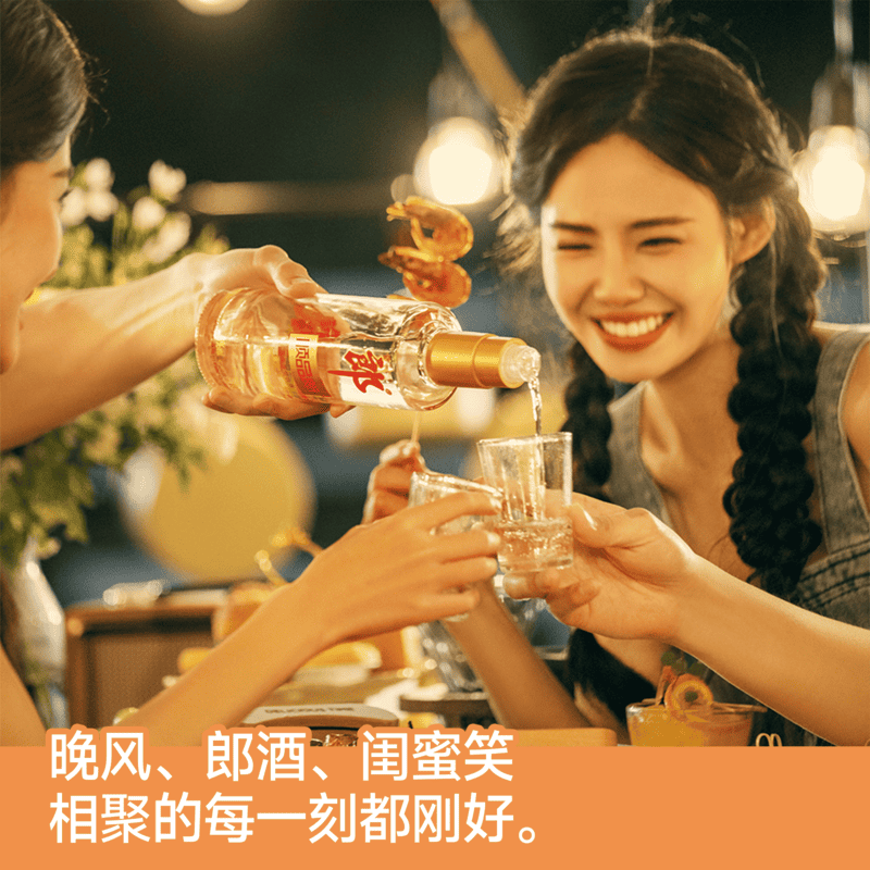 郎酒顺品郎金盖浓酱兼香型白酒45度480ml*2瓶*3盒粮食酒节日送礼