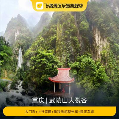 [武陵山大裂谷-大门票+上行索道+单程电瓶观光车+摆渡车票]