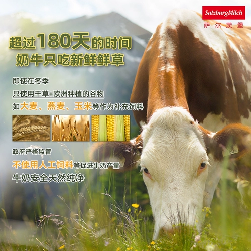 Зальцбургский чистый молоко полное органическое органическое 3,8%1 л.