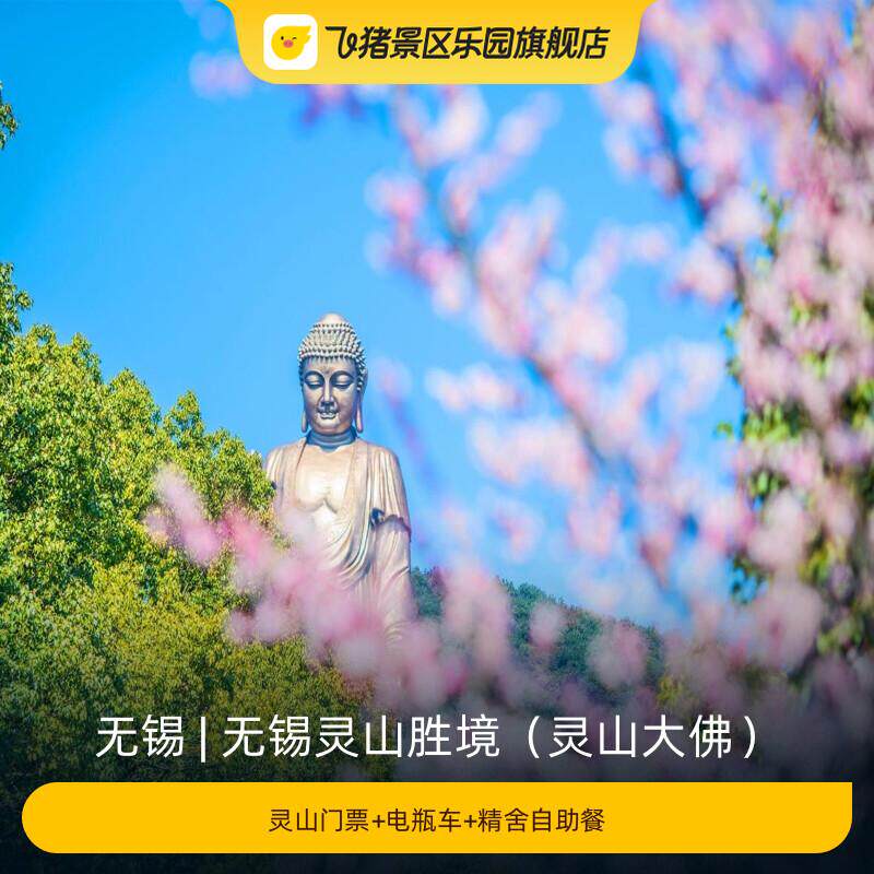 [无锡灵山胜境（灵山大佛）-灵山门票+电瓶车+精舍自助餐]