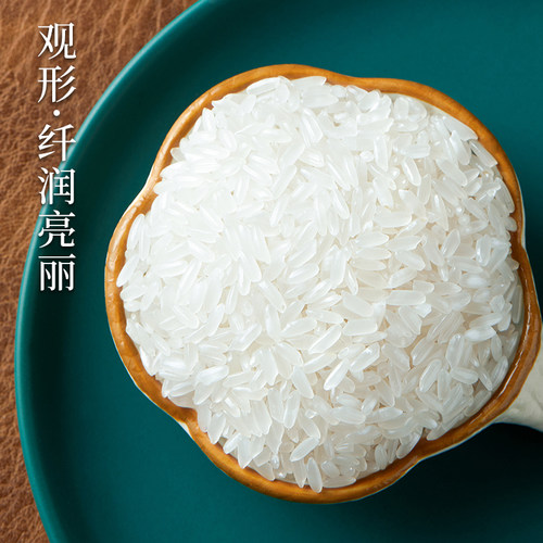 十月稻田东北寒地之最五常大米5kg粳米一年一季 - 图0