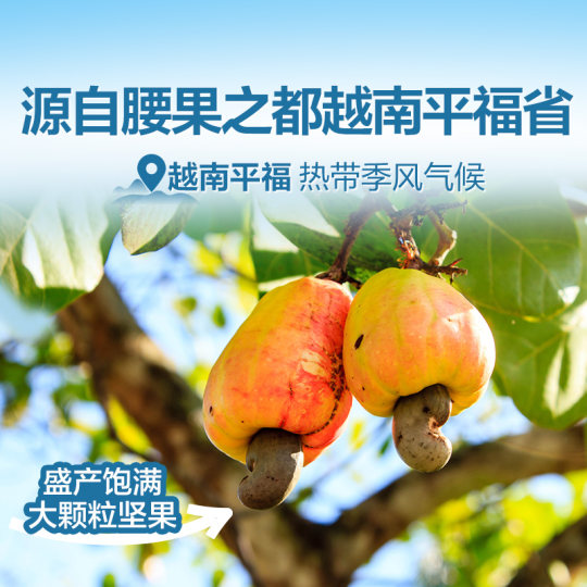 良品铺子S级大腰果仁带皮原味紫皮腰果孕妇坚果零食健康