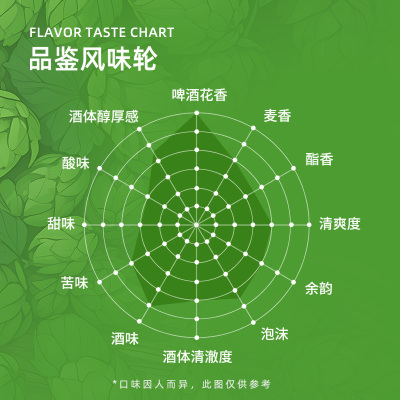 斯坦根精酿全麦啤酒500ml×12罐