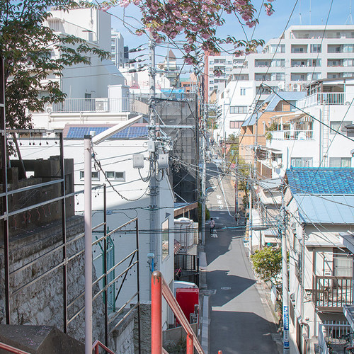 日本·单次旅游签证·上海送签·【无套路.拒签全退】巨龙简化加急服务日本单次签证个人旅游上海北京广 - 图2