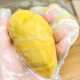 Thai Golden Pillow Durian Meat, sweet, soft and glutinous fresh frozen imported durian meat
